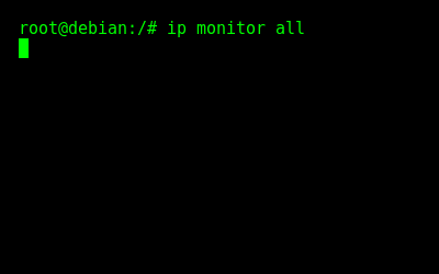 Initializing a terminal to monitor the network traffic in the Docker Host.