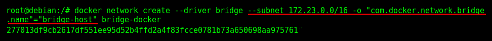 Creating a User-Defined Bridge Network Interface with custom options.