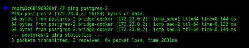 Showing the DNS working successfully.