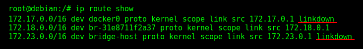 Displaying the Docker routing table.